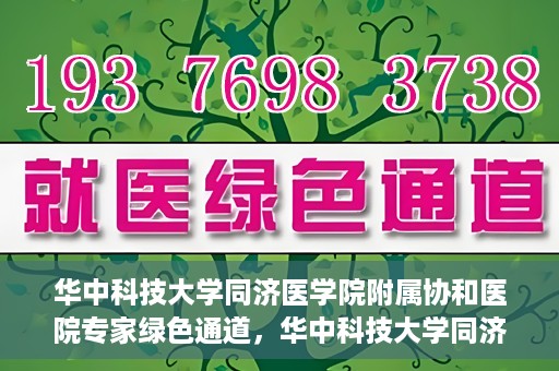 华中科技大学同济医学院附属协和医院专家绿色通道，华中科技大学同济医学院附属协和医院专家绿色通道，专业医疗服务的快速通道