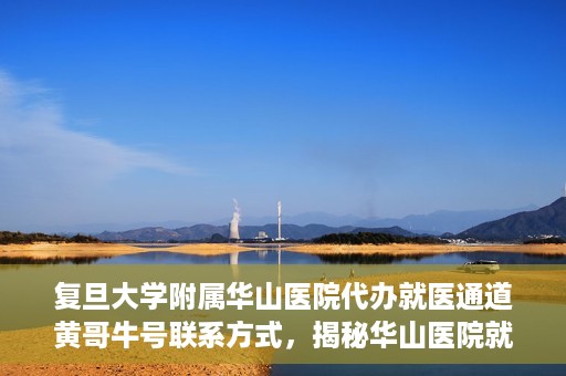 复旦大学附属华山医院代办就医通道黄哥牛号联系方式，揭秘华山医院就医通道代办服务，黄哥牛号联系方式及代办就医指南