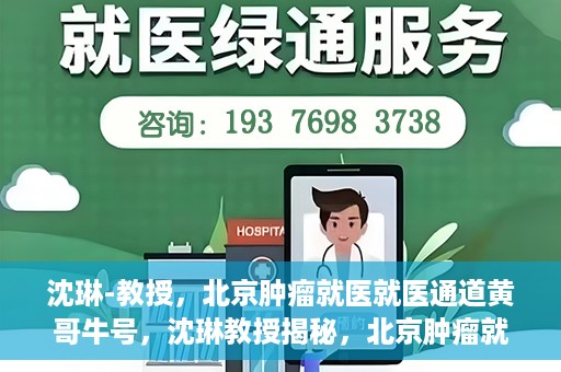 沈琳-教授，北京肿瘤就医就医通道黄哥牛号，沈琳教授揭秘，北京肿瘤就医通道的关键人物黄哥牛号引领就医新风尚
