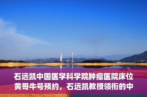 石远凯中国医学科学院肿瘤医院床位黄哥牛号预约，石远凯教授领衔的中国医学科学院肿瘤医院床位预约攻略，黄哥牛号预约详解