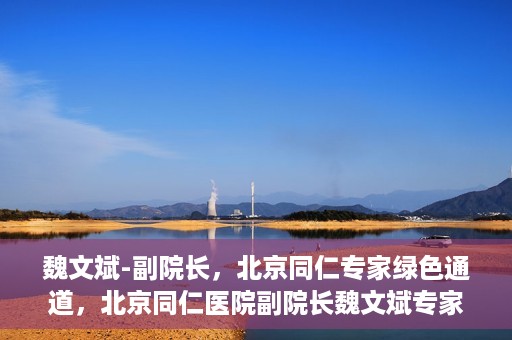 魏文斌-副院长，北京同仁专家绿色通道，北京同仁医院副院长魏文斌专家绿色通道介绍