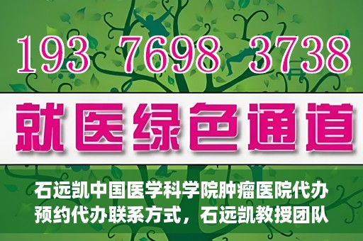 石远凯中国医学科学院肿瘤医院代办预约代办联系方式，石远凯教授团队预约挂号指南，中国医学科学院肿瘤医院代办联系方式揭秘