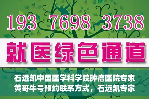石远凯中国医学科学院肿瘤医院专家黄哥牛号预约联系方式，石远凯专家团队预约挂号攻略，中国医学科学院肿瘤医院黄哥牛号预约联系方式揭秘