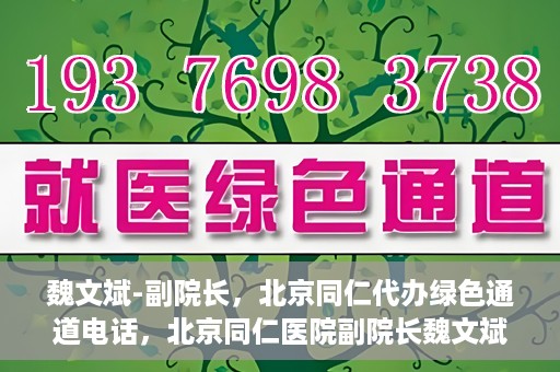 魏文斌-副院长，北京同仁代办绿色通道电话，北京同仁医院副院长魏文斌揭秘，绿色通道电话代办服务新动向