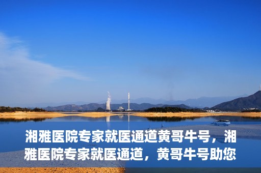 湘雅医院专家就医通道黄哥牛号，湘雅医院专家就医通道，黄哥牛号助您轻松挂号就医