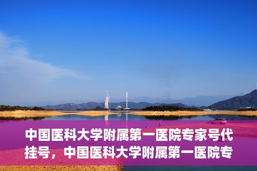 中国医科大学附属第一医院专家号代挂号，中国医科大学附属第一医院专家号预约挂号攻略