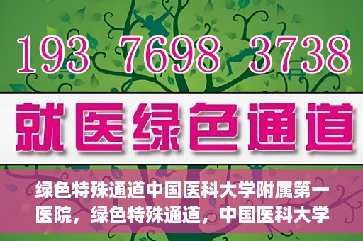 绿色特殊通道中国医科大学附属第一医院，绿色特殊通道，中国医科大学附属第一医院探索前行