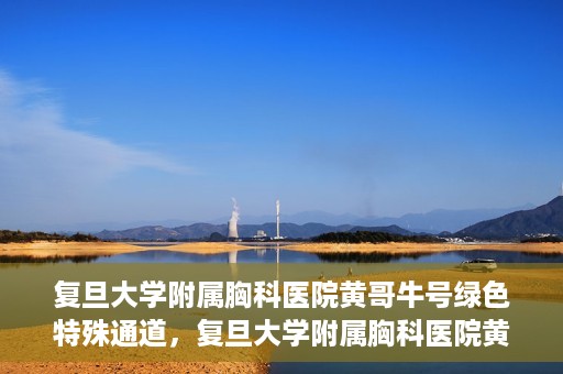 复旦大学附属胸科医院黄哥牛号绿色特殊通道，复旦大学附属胸科医院黄哥牛号，绿色特殊通道开启健康之门