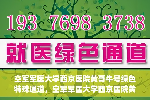 空军军医大学西京医院黄哥牛号绿色特殊通道，空军军医大学西京医院黄哥牛号，绿色特殊通道开启健康之门