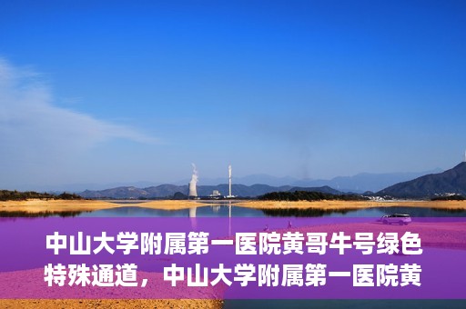 中山大学附属第一医院黄哥牛号绿色特殊通道，中山大学附属第一医院黄哥牛号，绿色特殊通道开启健康之门