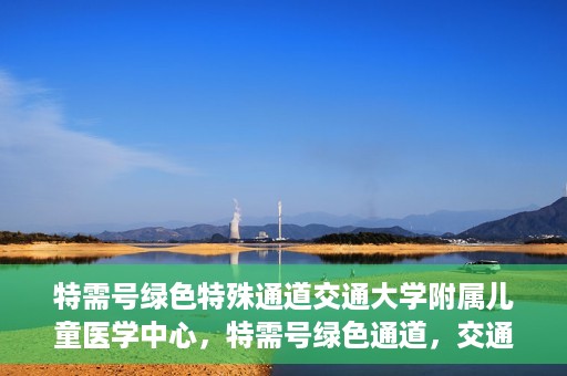 特需号绿色特殊通道交通大学附属儿童医学中心，特需号绿色通道，交通大学附属儿童医学中心的专业服务之路