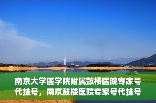 南京大学医学院附属鼓楼医院专家号代挂号，南京鼓楼医院专家号代挂号服务解析