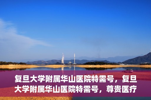 复旦大学附属华山医院特需号，复旦大学附属华山医院特需号，尊贵医疗体验，专业健康守护