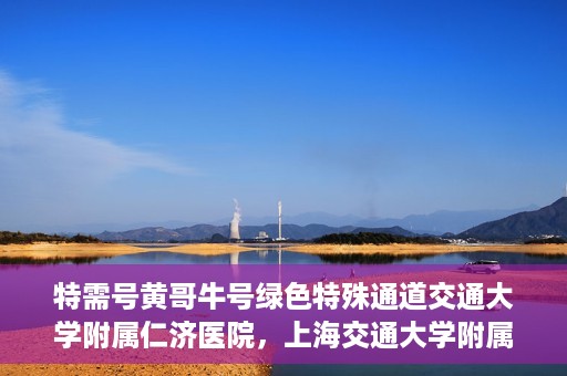 特需号黄哥牛号绿色特殊通道交通大学附属仁济医院，上海交通大学附属仁济医院特需号黄哥牛号，绿色特殊通道助力健康之路
