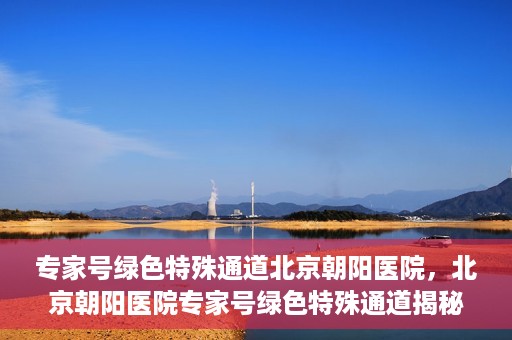 专家号绿色特殊通道北京朝阳医院，北京朝阳医院专家号绿色特殊通道揭秘，医疗服务的创新与优化体验