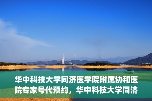 华中科技大学同济医学院附属协和医院专家号代预约，华中科技大学同济医学院附属协和医院专家号预约代办服务解析