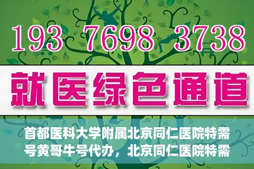 首都医科大学附属北京同仁医院特需号黄哥牛号代办，北京同仁医院特需号黄哥牛号代办，深度解析医疗服务的特殊渠道