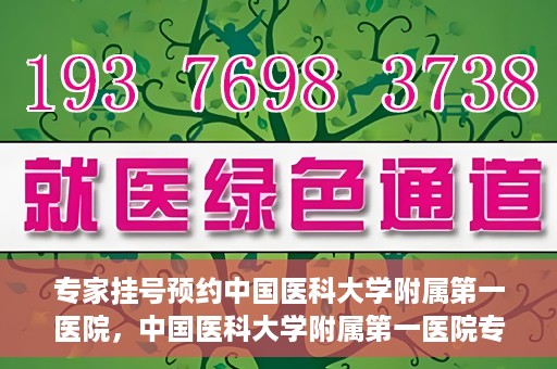 专家挂号预约中国医科大学附属第一医院，中国医科大学附属第一医院专家挂号预约解析