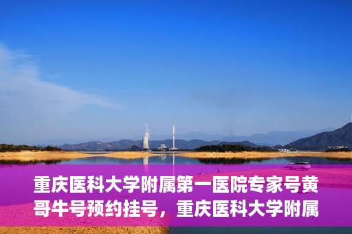 重庆医科大学附属第一医院专家号黄哥牛号预约挂号，重庆医科大学附属第一医院专家黄哥牛号——预约挂号攻略