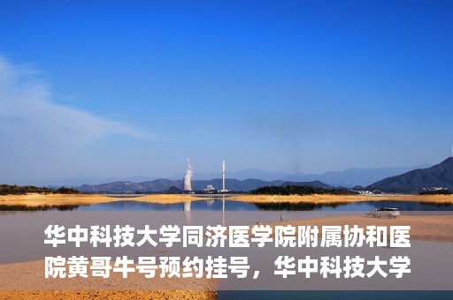 华中科技大学同济医学院附属协和医院黄哥牛号预约挂号，华中科技大学同济医学院附属协和医院黄哥牛号预约挂号攻略解析