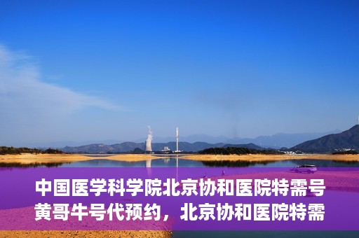 中国医学科学院北京协和医院特需号黄哥牛号代预约，北京协和医院特需号黄哥牛号预约服务解析