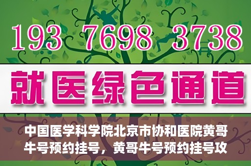 中国医学科学院北京市协和医院黄哥牛号预约挂号，黄哥牛号预约挂号攻略，中国医学科学院北京市协和医院就医指南