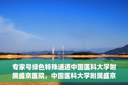 专家号绿色特殊通道中国医科大学附属盛京医院，中国医科大学附属盛京医院专家号绿色特殊通道解析
