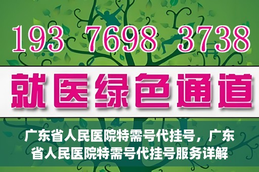 广东省人民医院特需号代挂号，广东省人民医院特需号代挂号服务详解