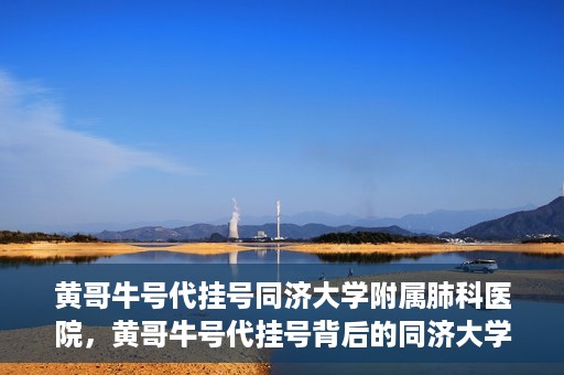 黄哥牛号代挂号同济大学附属肺科医院，黄哥牛号代挂号背后的同济大学附属肺科医院就医故事
