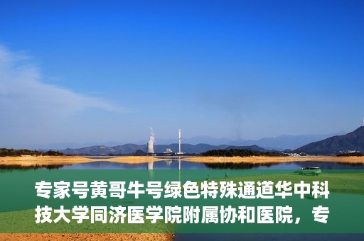 专家号黄哥牛号绿色特殊通道华中科技大学同济医学院附属协和医院，专家黄哥牛号揭秘，华中科技大学同济医学院附属协和医院的绿色特殊通道