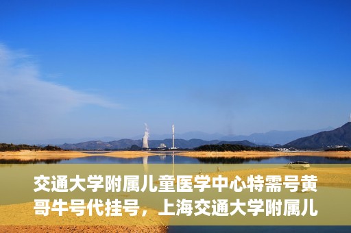 交通大学附属儿童医学中心特需号黄哥牛号代挂号，上海交通大学附属儿童医学中心特需号专家黄哥牛号预约挂号攻略