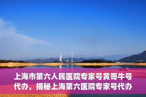上海市第六人民医院专家号黄哥牛号代办，揭秘上海第六医院专家号代办背后的故事，黄哥牛号代办真相揭秘