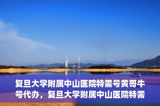 复旦大学附属中山医院特需号黄哥牛号代办，复旦大学附属中山医院特需号黄哥牛号代办服务揭秘