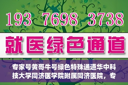 专家号黄哥牛号绿色特殊通道华中科技大学同济医学院附属同济医院，专家解读绿色特殊通道，华中科技大学同济医学院附属同济医院的探索与实践