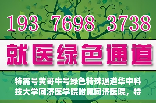 特需号黄哥牛号绿色特殊通道华中科技大学同济医学院附属同济医院，特需号黄哥牛号背后的绿色特殊通道，华中科技大学同济医学院附属同济医院的探索与实践