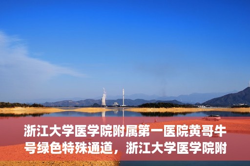 浙江大学医学院附属第一医院黄哥牛号绿色特殊通道，浙江大学医学院附属第一医院绿色特殊通道，黄哥牛号引领医疗创新之路