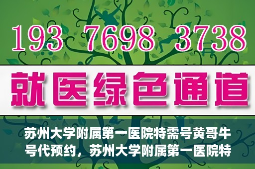 苏州大学附属第一医院特需号黄哥牛号代预约，苏州大学附属第一医院特需号预约服务解析，黄哥牛号预约攻略揭秘
