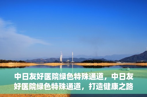 中日友好医院绿色特殊通道，中日友好医院绿色特殊通道，打造健康之路的新篇章