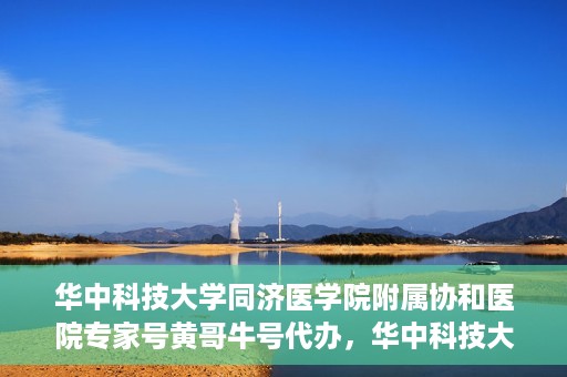 华中科技大学同济医学院附属协和医院专家号黄哥牛号代办，华中科技大学同济医学院附属协和医院专家号代办揭秘，黄哥牛号助您轻松预约专家号
