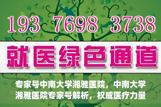 专家号中南大学湘雅医院，中南大学湘雅医院专家号解析，权威医疗力量的深度解读