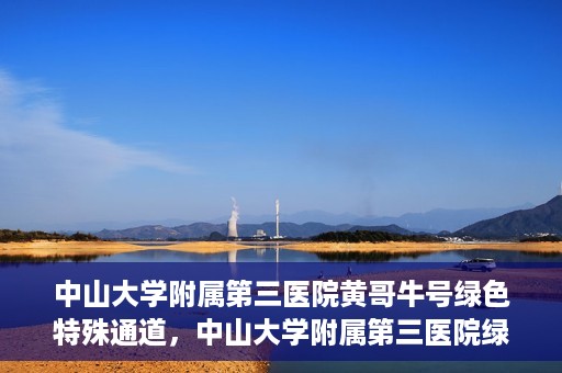 中山大学附属第三医院黄哥牛号绿色特殊通道，中山大学附属第三医院绿色特殊通道，黄哥牛号引领医疗创新之路