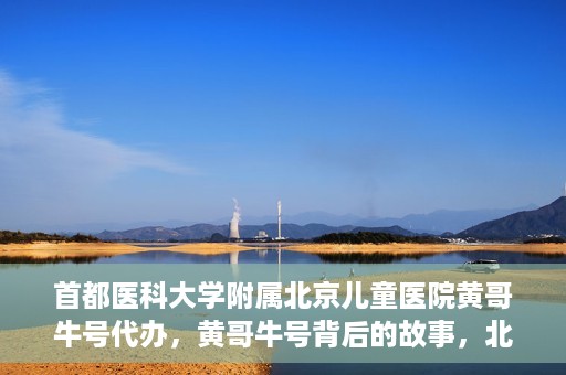 首都医科大学附属北京儿童医院黄哥牛号代办，黄哥牛号背后的故事，北京儿童医院名医背后的故事与探索。