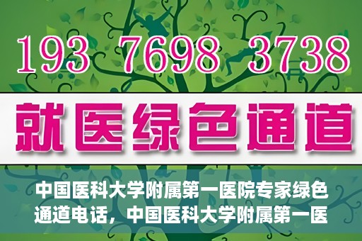 中国医科大学附属第一医院专家绿色通道电话，中国医科大学附属第一医院专家绿色通道热线电话揭秘