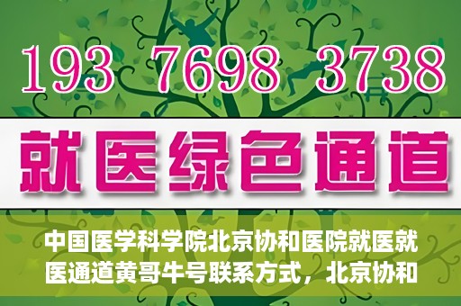 中国医学科学院北京协和医院就医就医通道黄哥牛号联系方式，北京协和医院就医通道解析，黄哥牛号联系方式揭秘