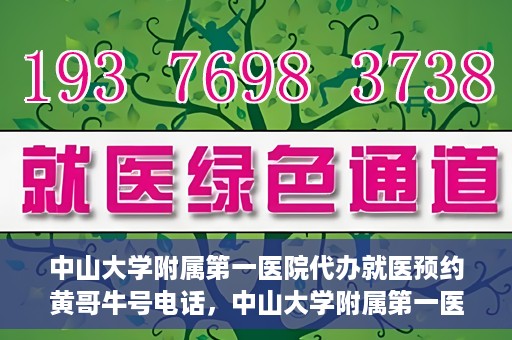中山大学附属第一医院代办就医预约黄哥牛号电话，中山大学附属第一医院预约就医助手黄哥牛联系方式揭秘