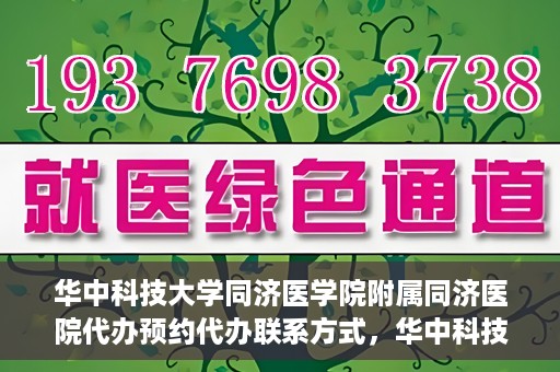 华中科技大学同济医学院附属同济医院代办预约代办联系方式，华中科技大学同济医学院附属同济医院预约代办联系方式全解析