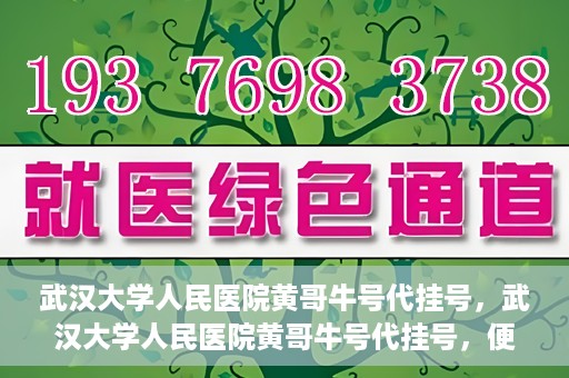 武汉大学人民医院黄哥牛号代挂号，武汉大学人民医院黄哥牛号代挂号，便捷就医背后的故事