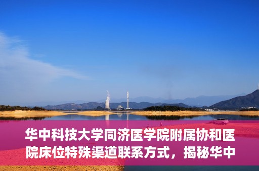 华中科技大学同济医学院附属协和医院床位特殊渠道联系方式，揭秘华中科技大学同济医学院附属协和医院床位特殊渠道预约攻略与联系方式