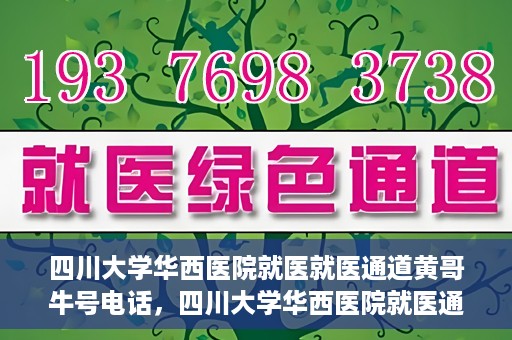 四川大学华西医院就医就医通道黄哥牛号电话，四川大学华西医院就医通道解析，黄哥牛号电话背后的就医便利之道