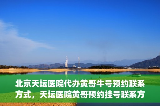 北京天坛医院代办黄哥牛号预约联系方式，天坛医院黄哥预约挂号联系方式揭秘，便捷就医新途径探索